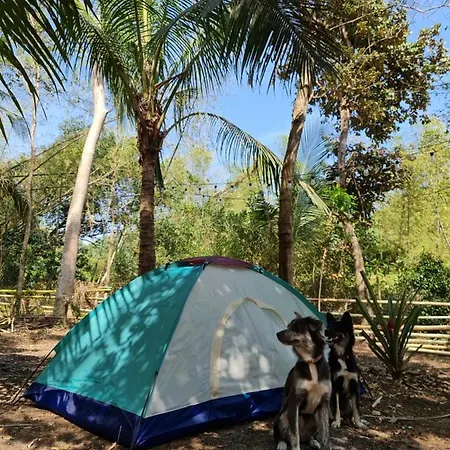 Morue's Den Hostel *