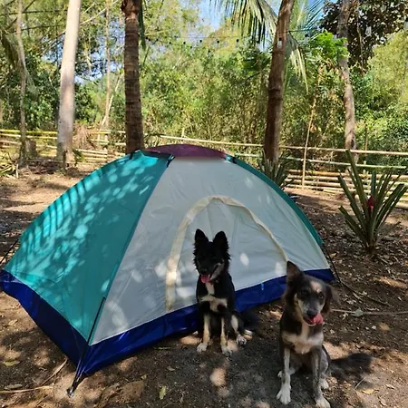 Morue's Den אכסניה